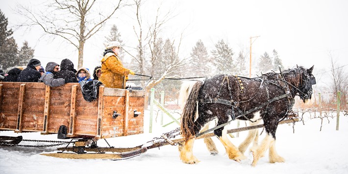 A group of people having fun on a horse-drawn sleigh ride in Wisconsin in the winter