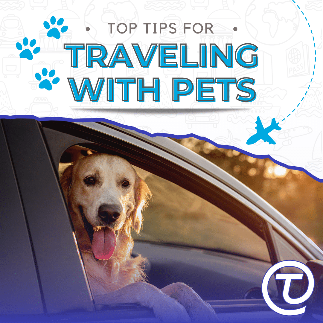 https://www.totalmed.com/ee/page-uploads/Traveling-with-Pets-2.png