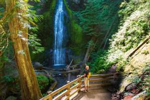 TotalMed recommends day trips from seattle washington