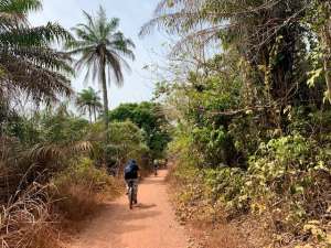 My Medical Mission: A Grey Matter