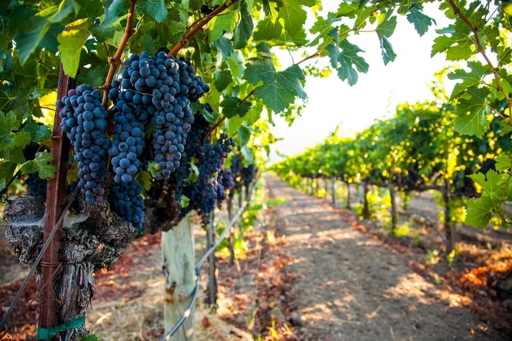 travel nursing assignment napa valley
