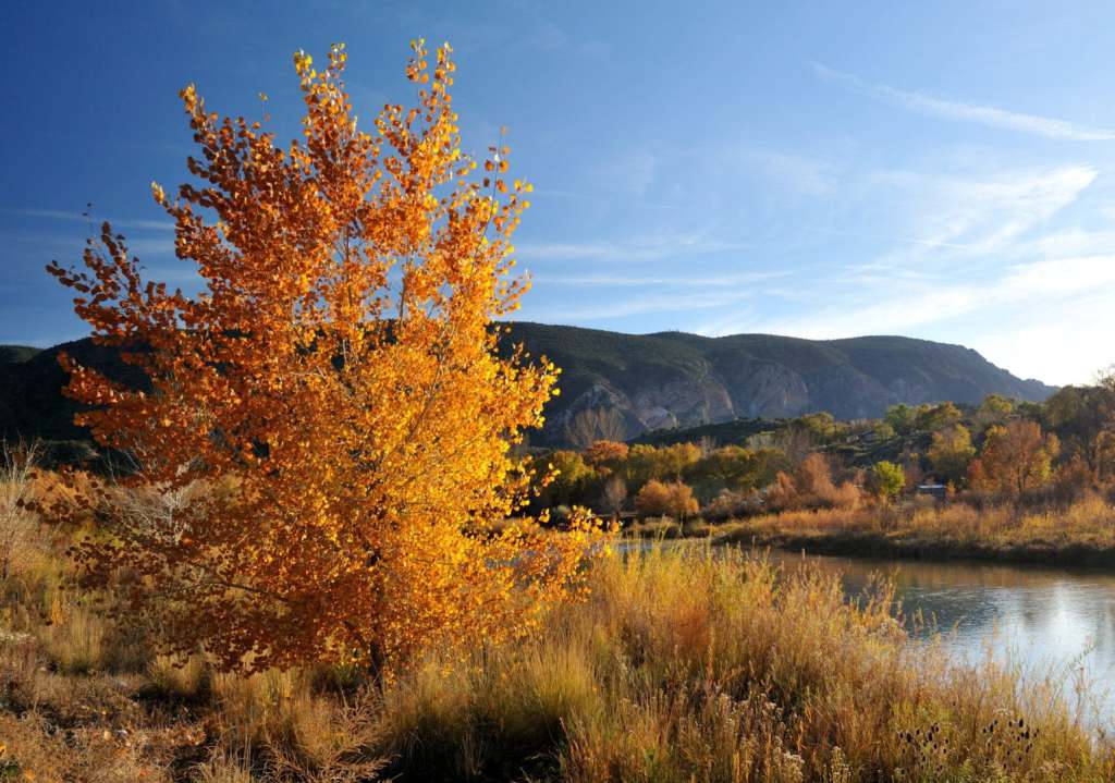 Top 5 Assignment Destinations to Enjoy Fantastic Fall Foliage fall in taos new mexico