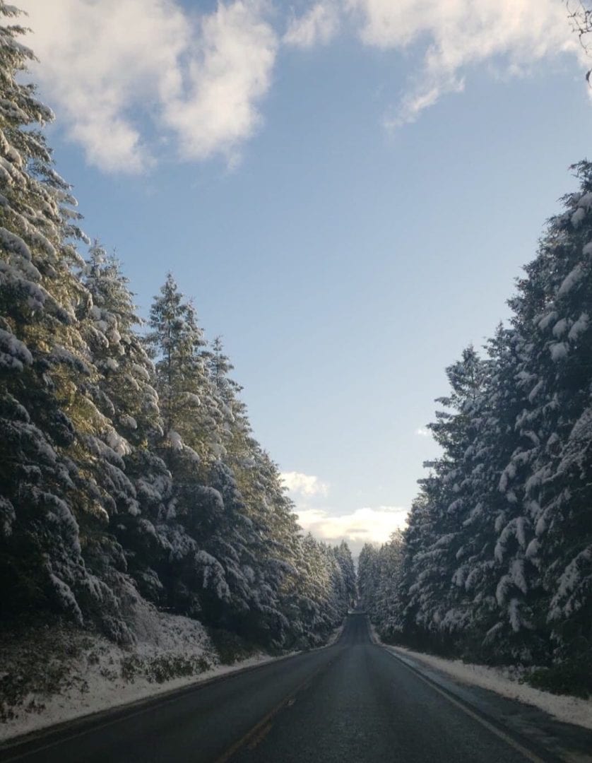 Health Care Traveling in Washington During the Winter travel nurse winter jobs