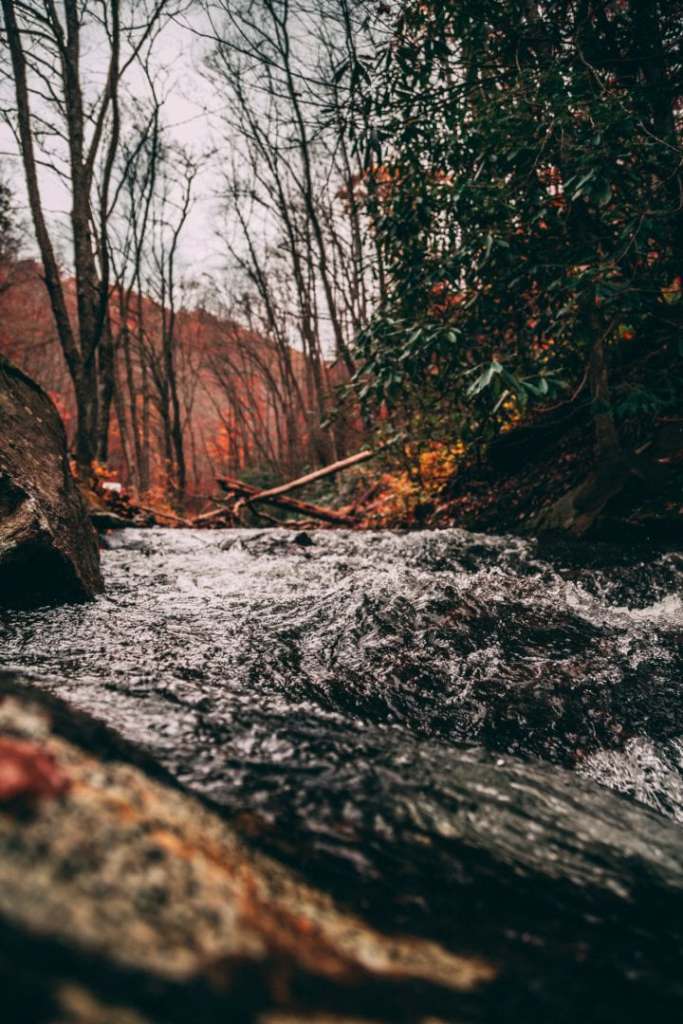 travel nurse jobs north carolina