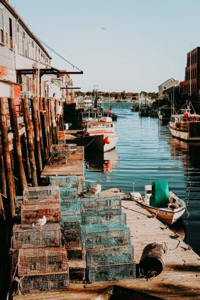A Guide to New England for Healthcare Travelers travel nurse jobs maine
