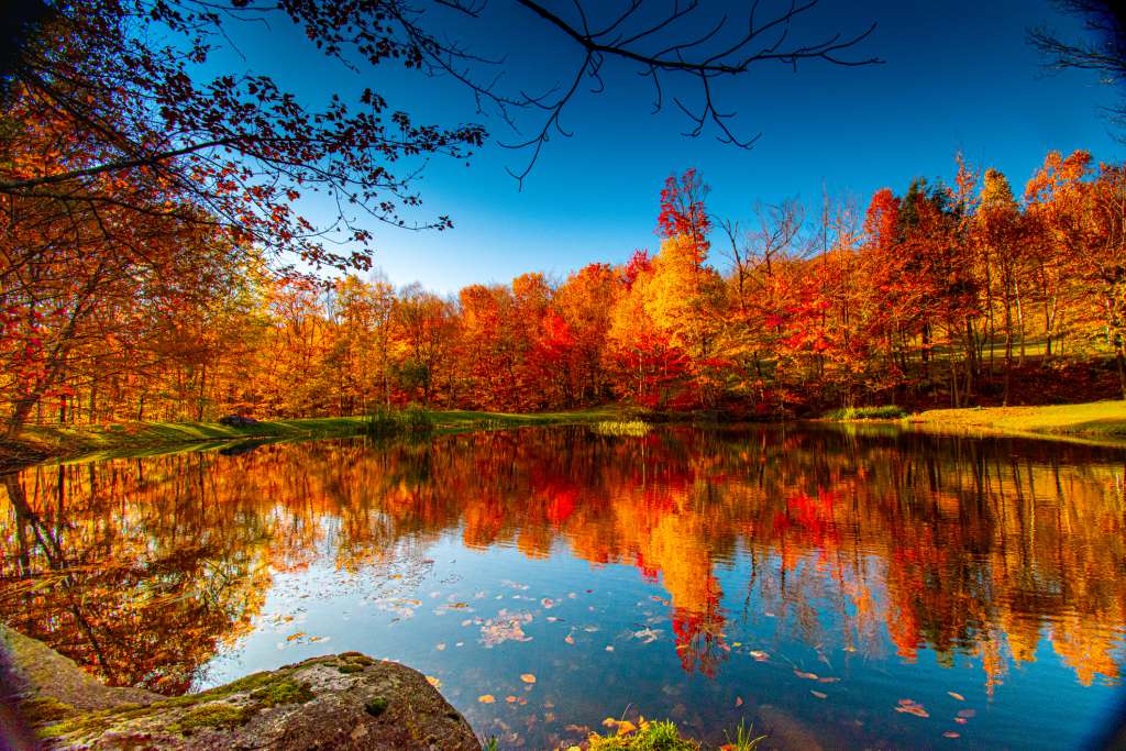 Top 10 U.S. States for Fall Travel Nurse Assignments Top 10 U.S. States for Fall Travel Nurse Assignments