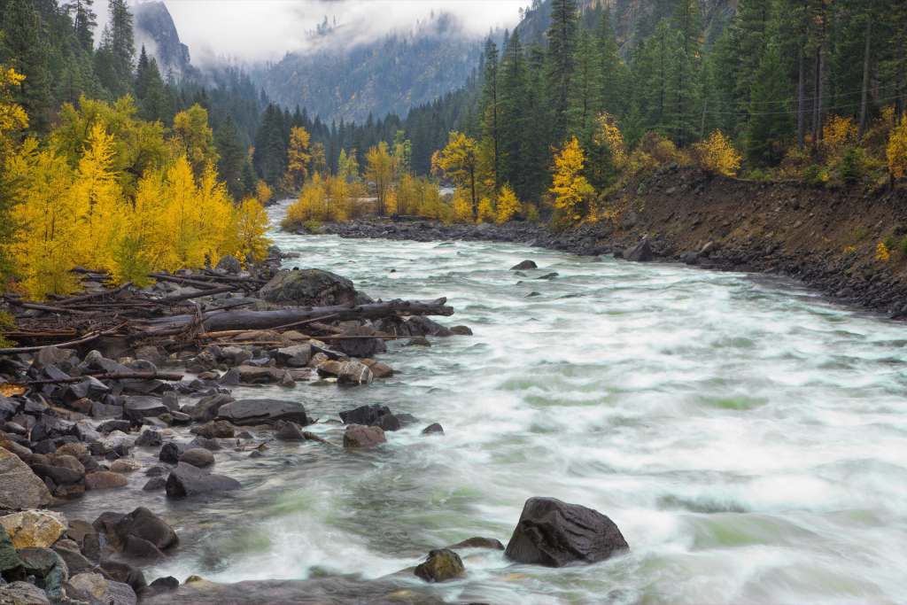 Top States for Fall Travel Assignments
