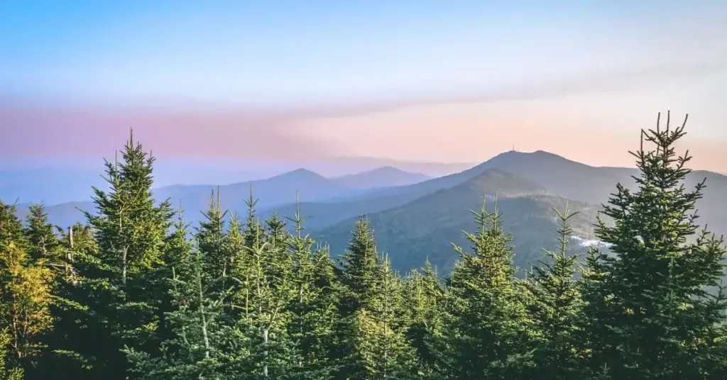 travel nurse assignment North Carolina