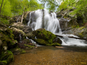 Why North Carolina is the Perfect Travel Nurse Destination This Season travel nurse assignment North Carolina
