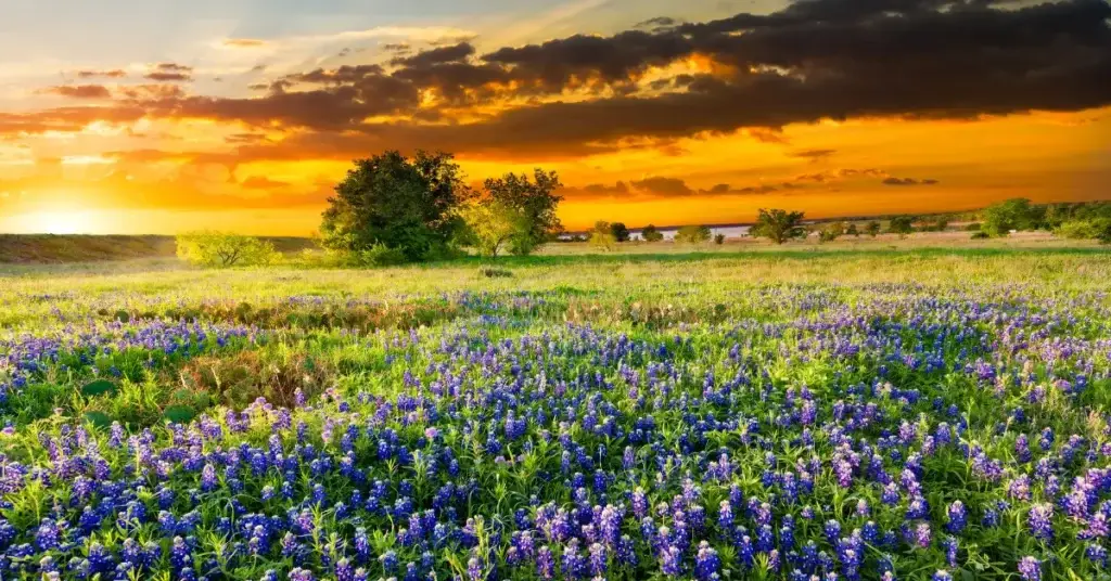 Top Travel Nurse Destinations for April Assignments Top Travel Nurse Destinations for April