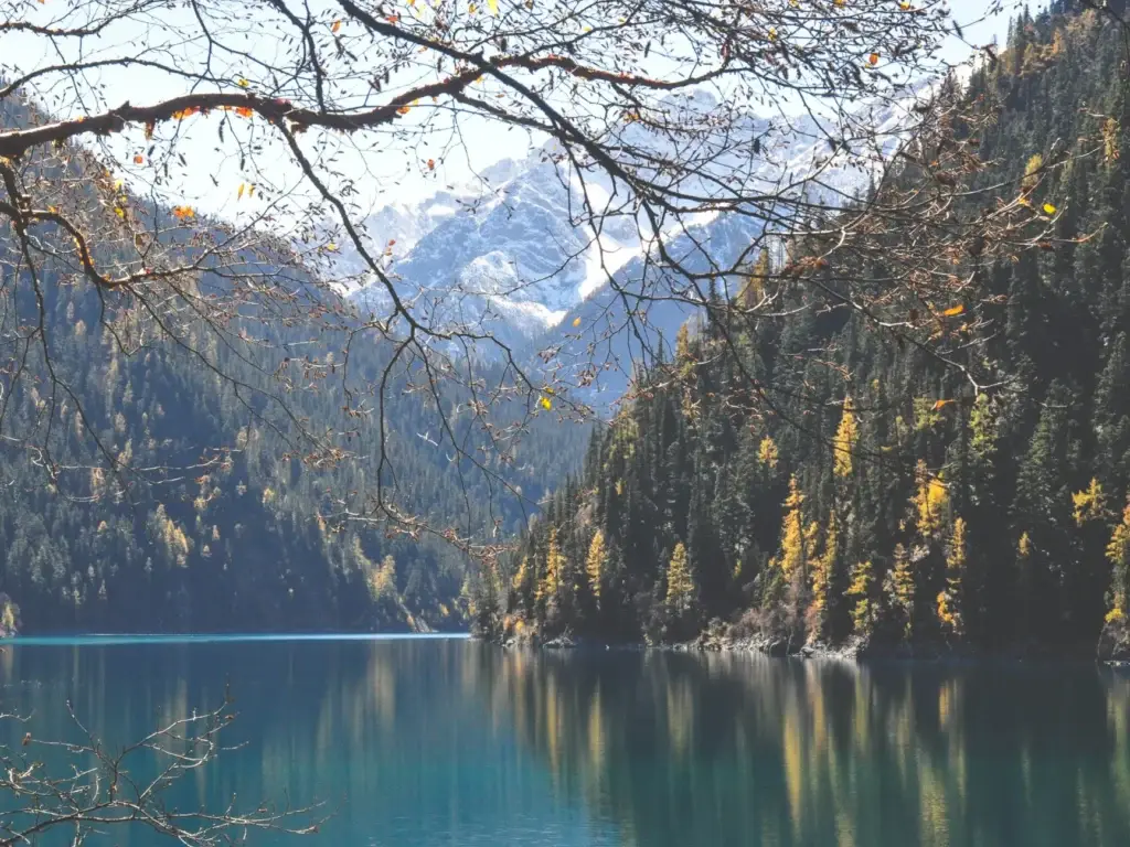 travel healthcare agency