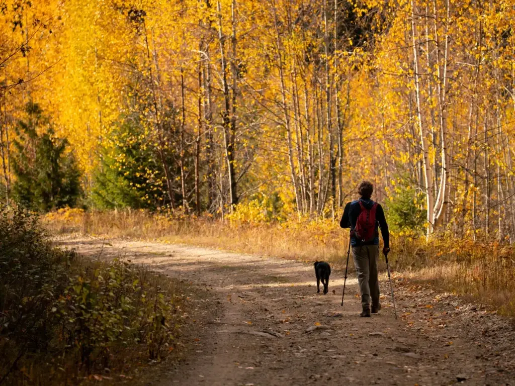 Where Healthcare Jobs Are Growing This Fall: A Regional Outlook for Travel Professionals