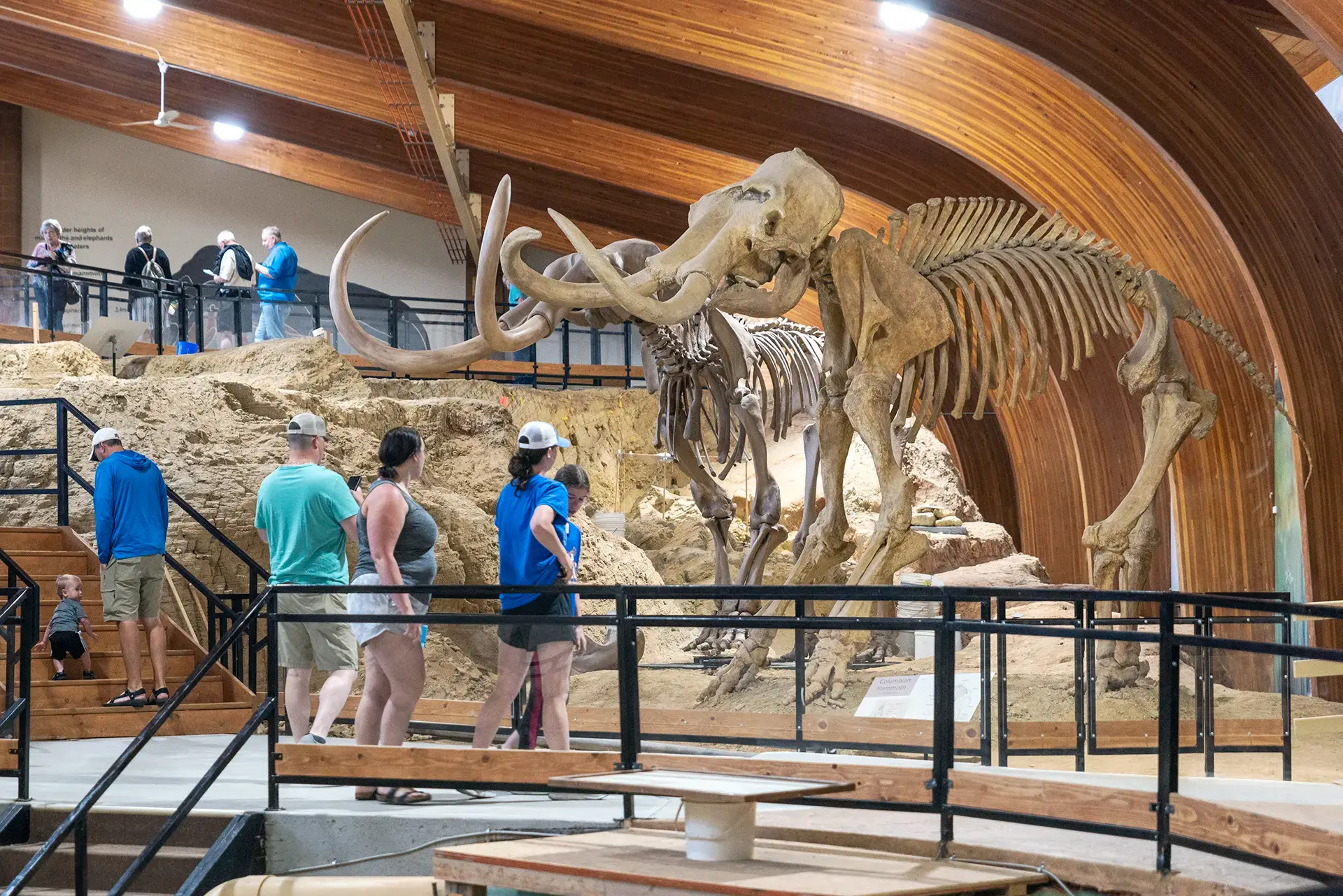 image of a group of people looking at a mammoth fossil in South Dakota