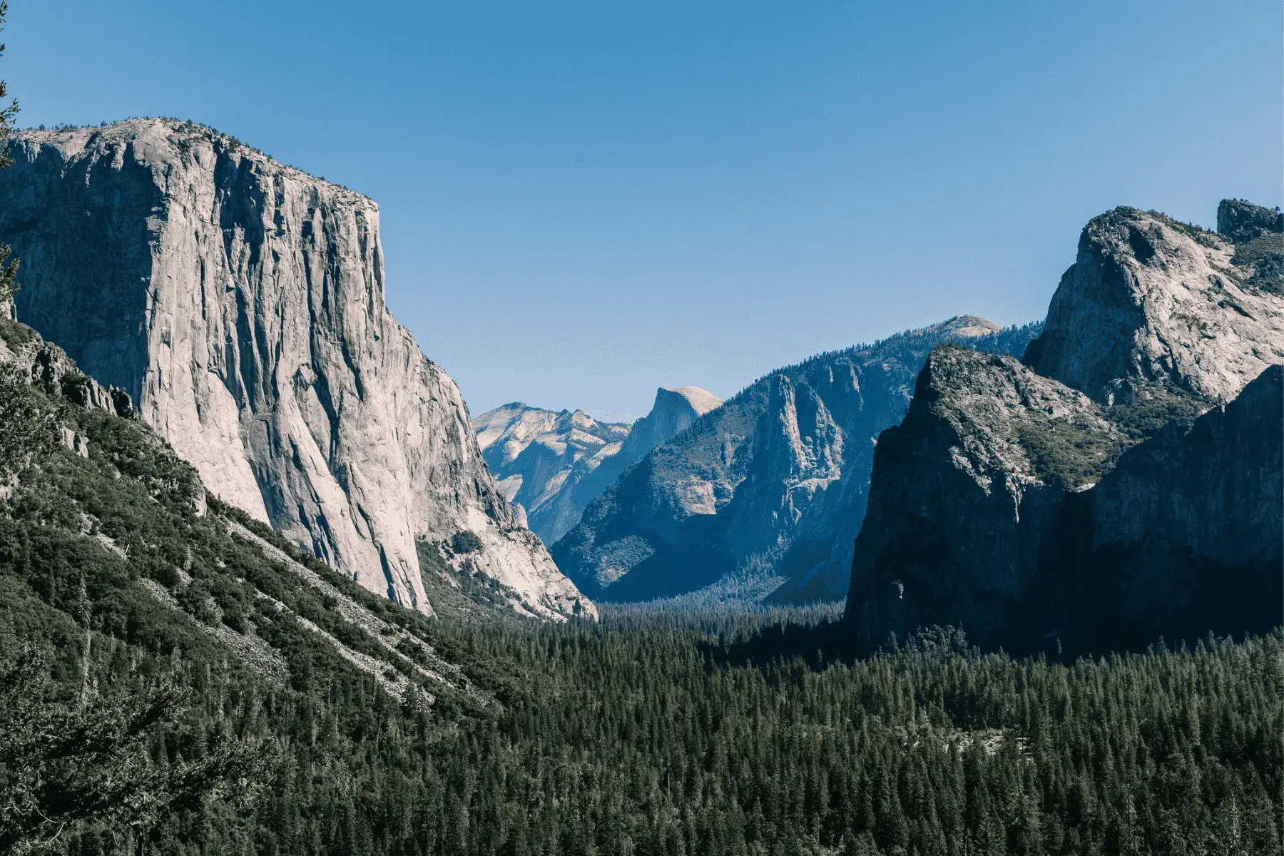 5 Mountainous National Parks and Top Hikes for the Best Views view of mountainous valley with trees