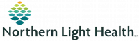 northern-light-logo